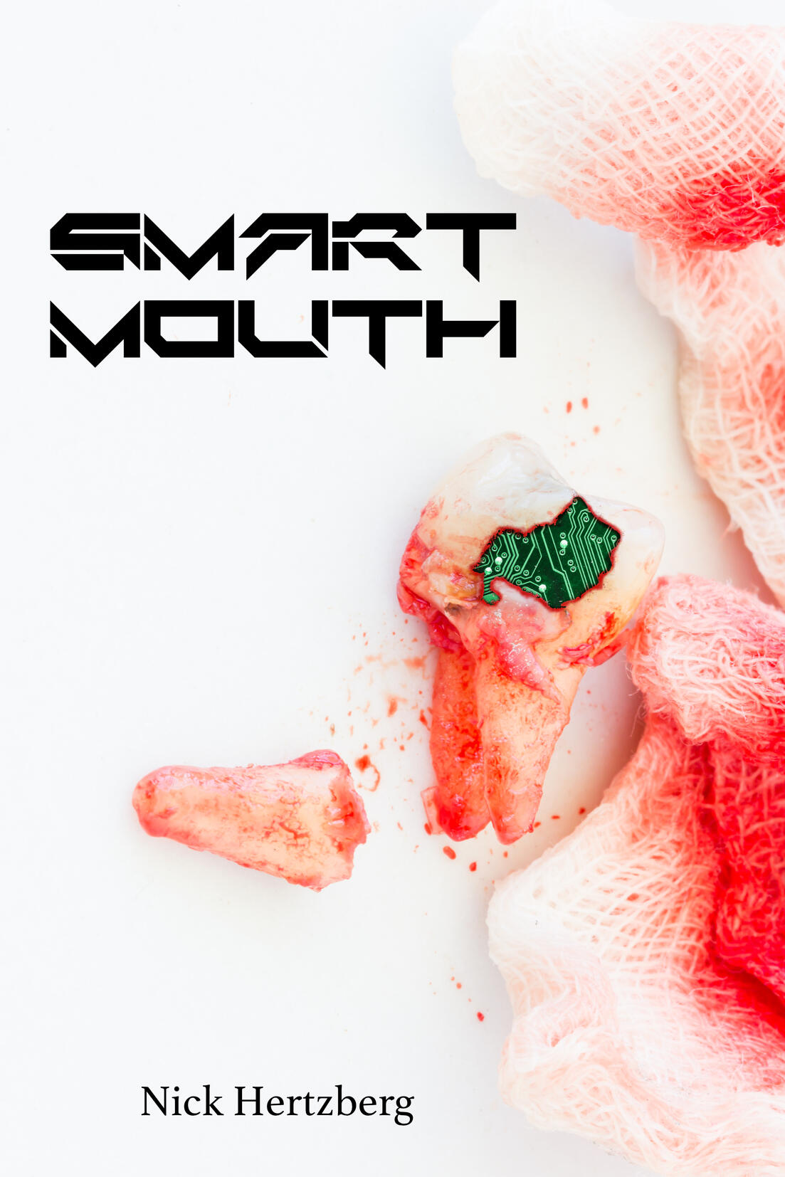 smart mouth nick hertzberg